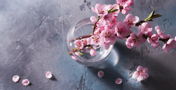 Werkgerelateerde stress