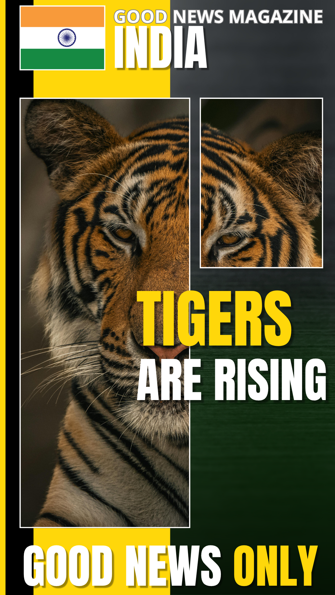 Nieuwste Instagram Reel van Paul Woldhek